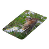 Adorable Chipmunk in Blume Magnet (Linke Seite)