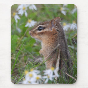 Adorable Chipmunk in Blume Mousepad