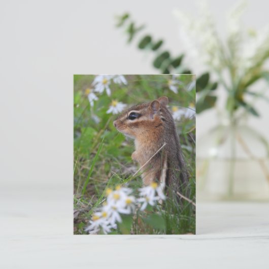 Adorable Chipmunk in Blume Postkarte (Stehend Vorderseite)