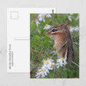 Adorable Chipmunk in Blume Postkarte (Vorne/Hinten)