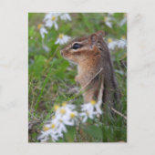 Adorable Chipmunk in Blume Postkarte (Vorderseite)