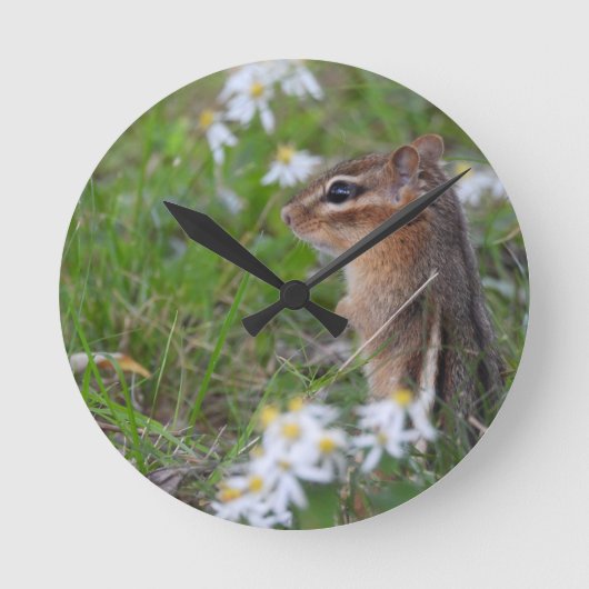 Adorable Chipmunk in Blume Runde Wanduhr (Vorderseite)