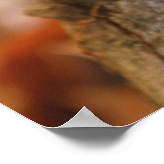 Adorable Chipmunk Poster (Ecke)