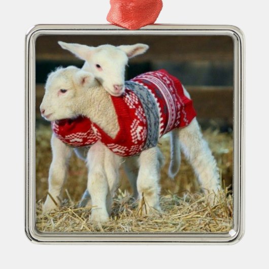 *ADORABLE CHRISTMAS GOATS IN SWEATERN* ORNAMENT AUS METALL (Vorne)