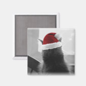 Adorable Christmas Kitten Magnet (Vorderseite/Rückseite)