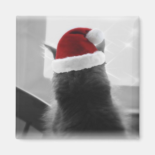 Adorable Christmas Kitten Magnet (Vorne)
