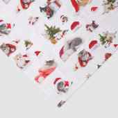 Adorable Christmas Kittens Muster Seidenpapier (Ausschnitt)