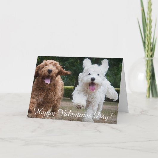 Adorable Cockapoo Welpen | Valentinstag-Karte Feiertagskarte (Vorderseite)