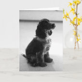 Adorable Cocker Spanisch Grußkarte Karte (Gelbe Blume)