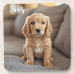 Adorable Cocker Spanisch Personalisiert Untersetze Getränkeuntersetzer
