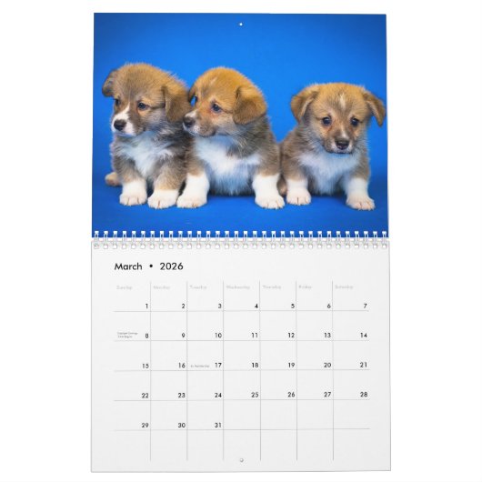 Adorable Corgi Dogs 2026 Kalender (Mär 2026)