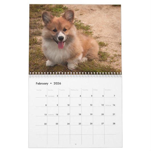 Adorable Corgi Dogs 2026 Kalender (Feb 2026)