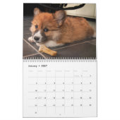 Adorable Corgi Dogs 2026 Kalender (Jan 2027)