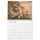 Adorable Corgi Dogs 2026 Kalender (Feb 2027)