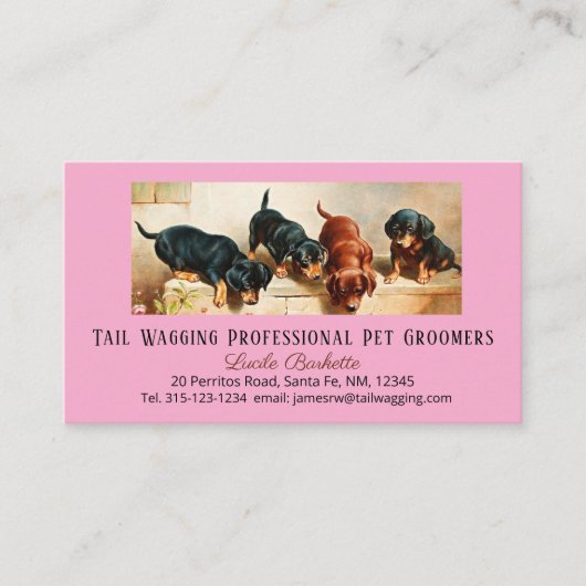 Adorable Cute Dachshund Puppy Pet Grooming Pink Visitenkarte (Vorderseite)