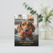 Adorable Dachshund Get Well Postcard Postkarte (Stehend Vorderseite)