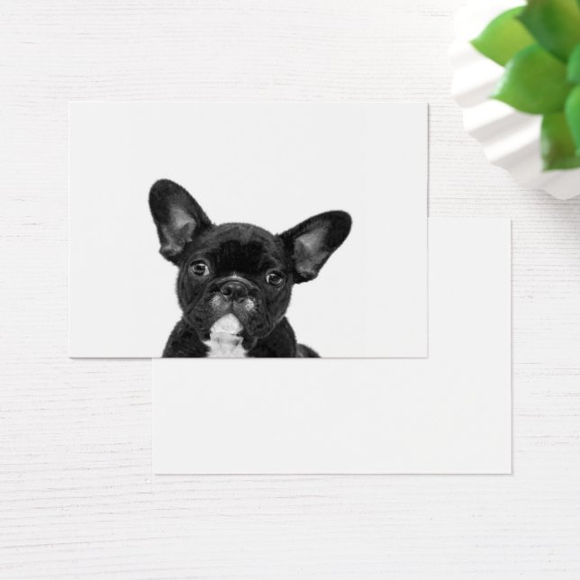Adorable Dog | Black French Bulldog Face (Schreibtisch)