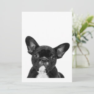 Adorable Dog Black French Bulldog Face Feiertagskarte