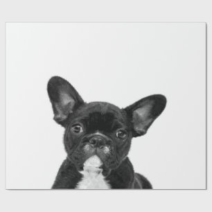Adorable Dog Black French Bulldog Face Geschenkpapier