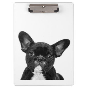 Adorable Dog Black French Bulldog Face Klemmbrett