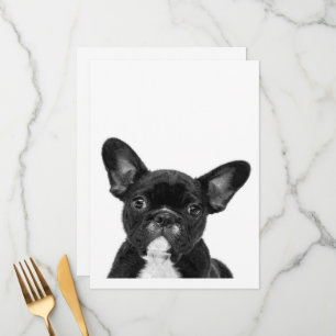 Adorable Dog   Black French Bulldog Face Menükarte