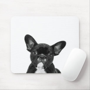 Adorable Dog   Black French Bulldog Face Mousepad