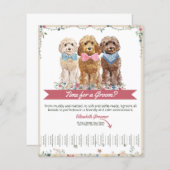 Adorable Dog Groomer Tear Sheet Flyer (Vorne/Hinten)