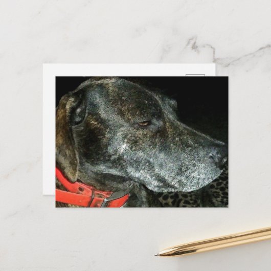 Adorable Dog Postkarte (Vorderseite/Rückseite Beispiel)