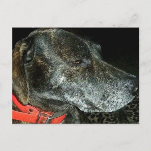 Adorable Dog Postkarte (Vorderseite)