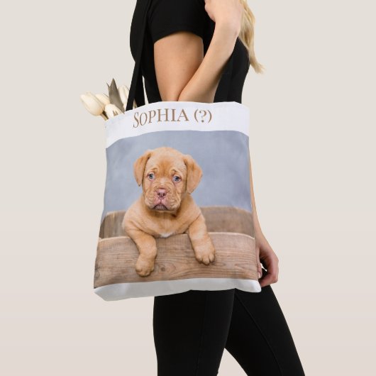 Adorable Dogue de Bordeaux Welpe, Tasche (Von Nahem)