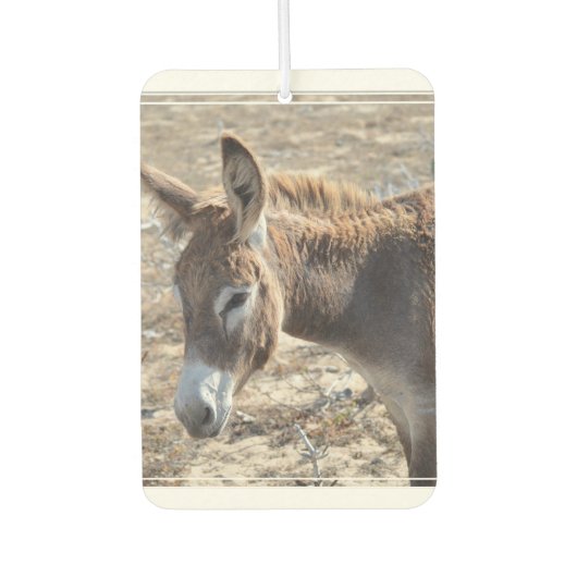 Adorable Donkey Autolufterfrischer (Vorderseite)