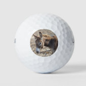 Adorable Donkey Golfball (Vorderseite)