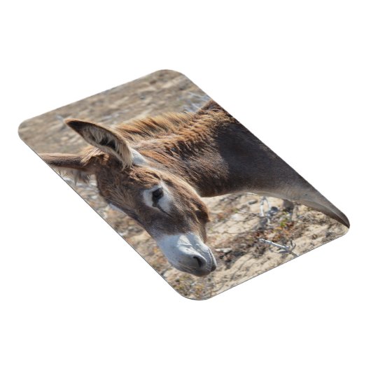 Adorable Donkey Magnet (Rechte Seite)