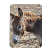 Adorable Donkey Magnet (Vertikal)