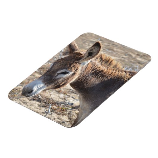 Adorable Donkey Magnet (Linke Seite)