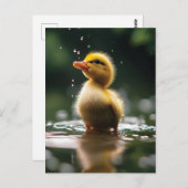 "Adorable Duckling im Regen Postkarte (Vorne/Hinten)