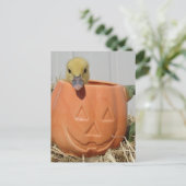 Adorable Duckling in a Pumpkin  Postkarte (Stehend Vorderseite)