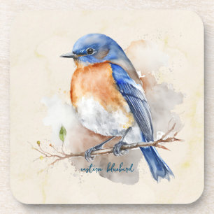 Adorable Eastern Bluebird Wasserfarbe Getränkeuntersetzer