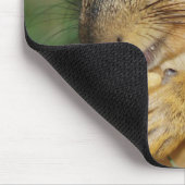 Adorable Eichhörnchen Ess Peanut Foto Mouse Pad Mousepad (Ecke)