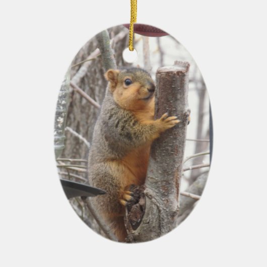 Adorable Eichhörnchen Foto Weihnachten Keramik Ornament (Vorne)