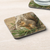 Adorable Eichhörnchen Untersetzer Set (Linke Seite)