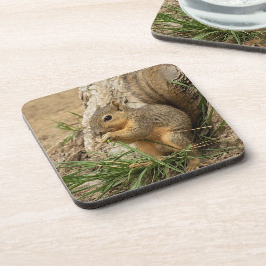 Adorable Eichhörnchen Untersetzer Set (Linke Seite)