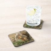 Adorable Eichhörnchen Untersetzer Set (Rechte Seite)