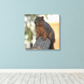 Adorable Eichhörnchenfotos Leinwanddruck (Insitu (Holzboden))