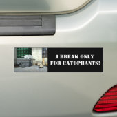 Adorable Elefantenkatzen Autoaufkleber (Auf Auto)