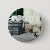 Adorable Elefantenkatzen Button (Vorderseite)