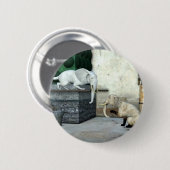 Adorable Elefantenkatzen Button (Vorne & Hinten)