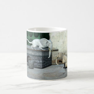 Adorable Elefantenkatzen Kaffeetasse