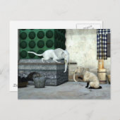 Adorable Elefantenkatzen Postkarte (Vorne/Hinten)