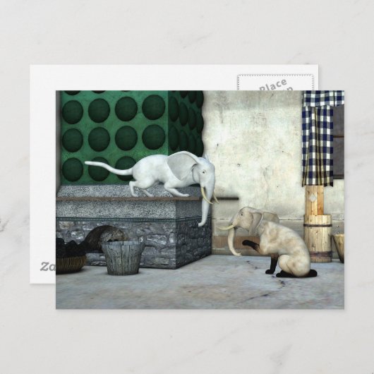 Adorable Elefantenkatzen Postkarte (Vorne/Hinten)
